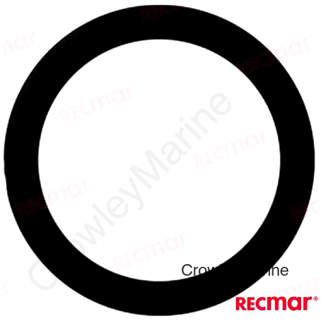 O-RING (REC310414)