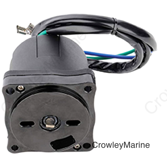 Trim Motor