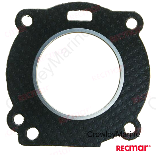 CYLINDER HEAD GASKET (REC309-01005-2)