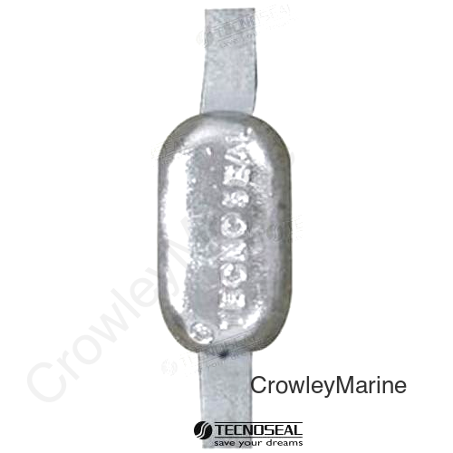 ANODE OVAL 0.455 KG (TEN00300AL)