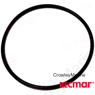 O-RING (REC25-67202)