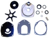 P WATER PUMP KIT 710-817275Q