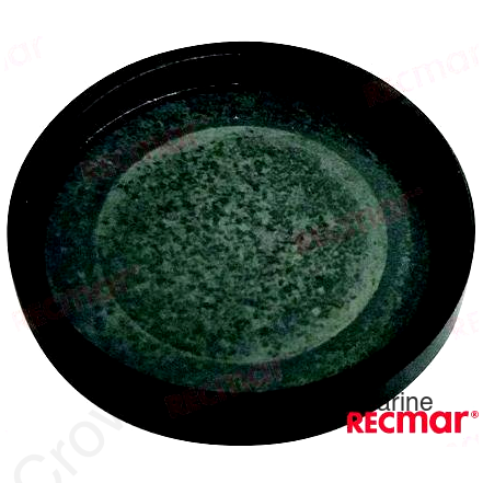 EXPANSION PLUG (REC1336763)