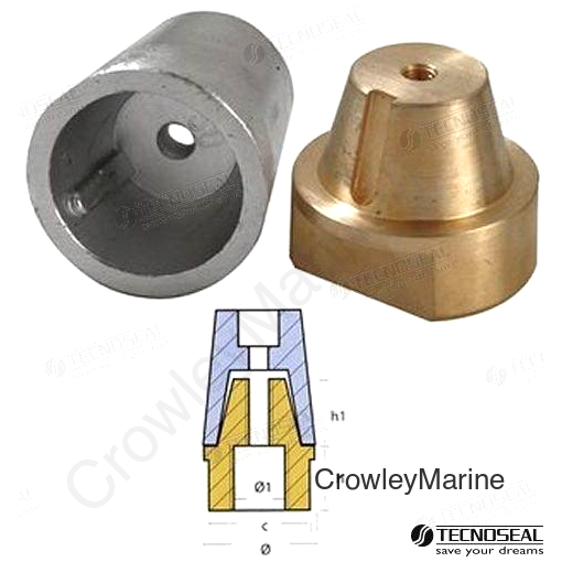 ANODE RADICE COMPLETE EJE 100 (TEN00419)