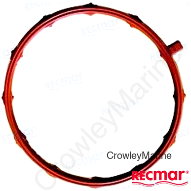 INTAKE GASKET (REC17105-ZY6-000)
