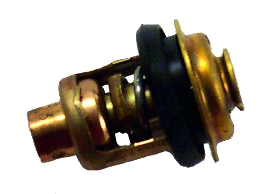 Johnson/Evinrude Thermostat