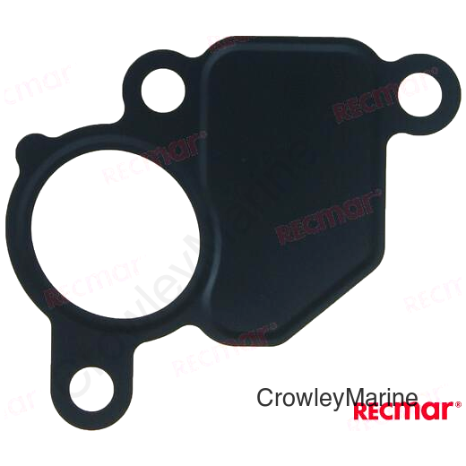 GASKET INTAKE MANIFOLD (REC13122-95J00)