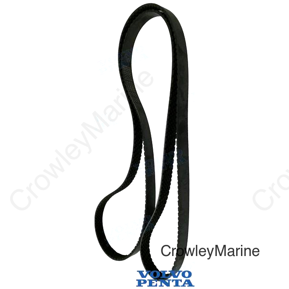BELT (RM21132385)