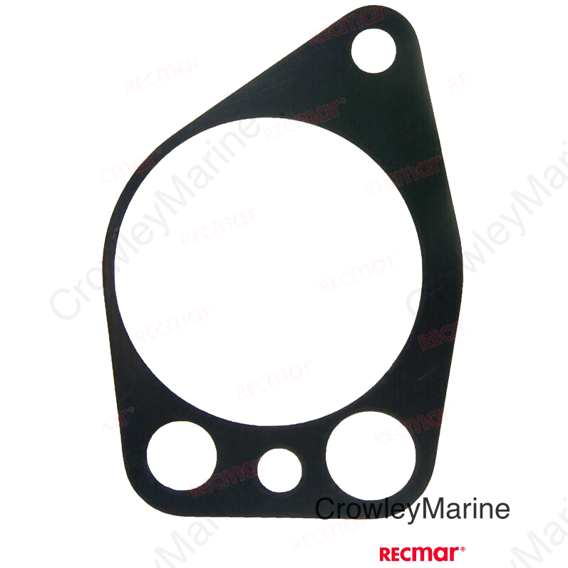 OIL PUMP GASKET (REC119000-32020)