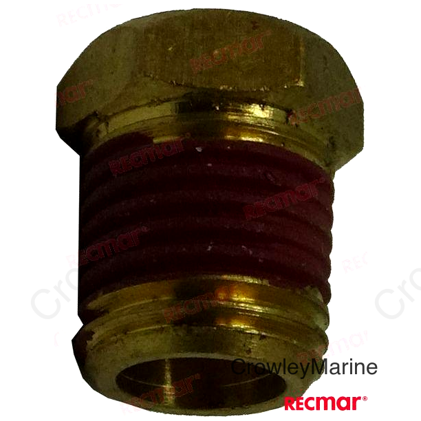 PIPE PLUG (REC22-36382)