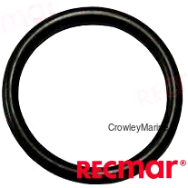 O'RING (RECX0506597)