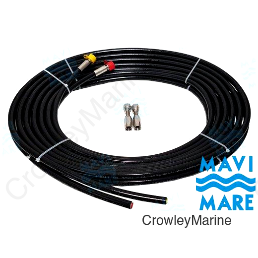 KIT 2 HOSES 5/16 W/FTGS (GS41098)