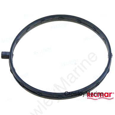 INTAKE GASKET (REC17109-ZY3-004)