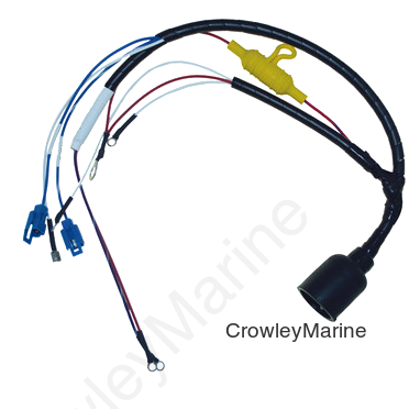 Wiring Harness, J/E, 2 Cyl (Drop Ship Only)