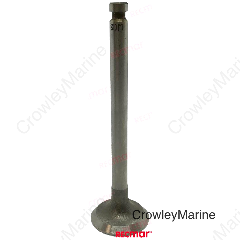 EXHAUST VALVE (REC104211-11110)