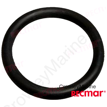 O-RING (REC318717)