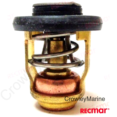 THERMOSTAT KIT (REC6H3-12411-10)