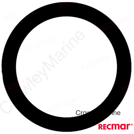 O-RING (REC25-20081)
