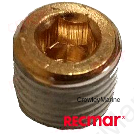 PLUG (REC22-73379)