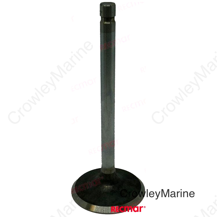 INTAKE VALVE (REC13504)