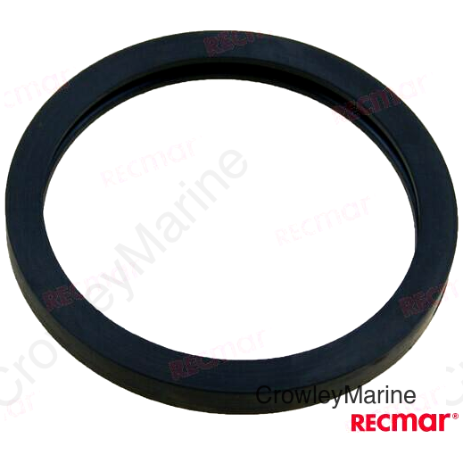 SEAL THERMOSTAT (REC25-8071341)