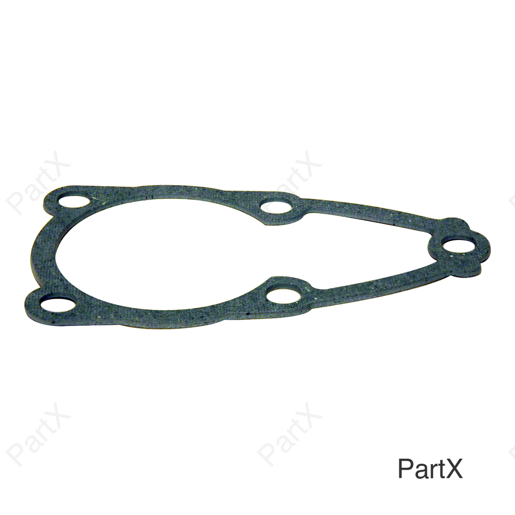 Gasket (30371)