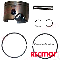 PISTON SET (REC5006665)
