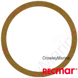 THERMOSTAT GASKET (REC121850-49550)