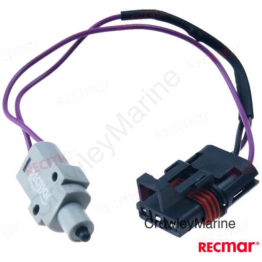 MICRORRUPTOR (REC87-808009A2)