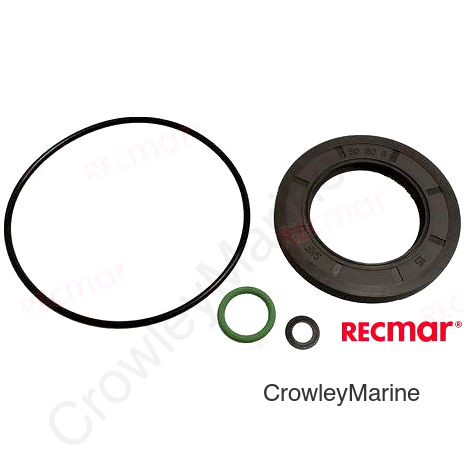 GASKET SET LOWER UNIT DPH (REC23019)