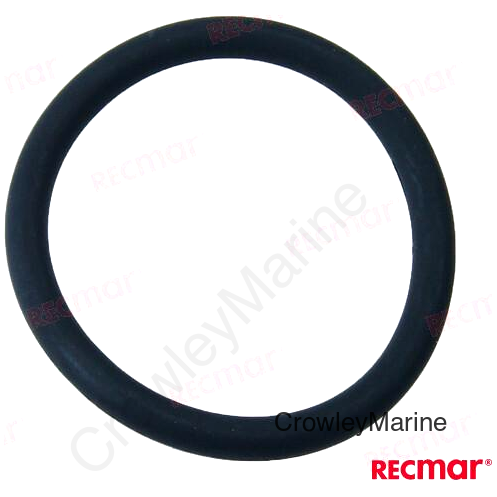 O'RING (REC976051)