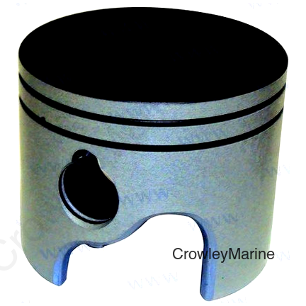PISTON KIT (REC5006694)