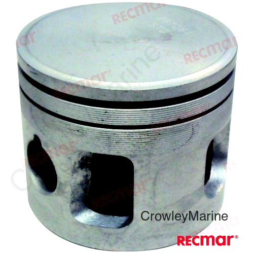 PISTON SET (REC5006751)