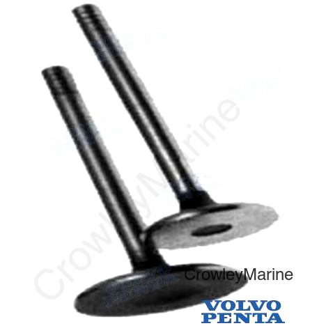 INTAKE VALVE (RM859650)