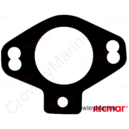 THERMOSTAT GASKET (REC27-418122)