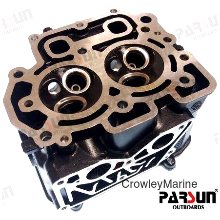 CYLINDER HEAD ASSY (PAF8-05030100)
