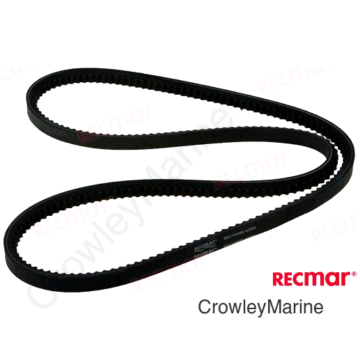 ALTERNATOR BELT (REC119593-42350)