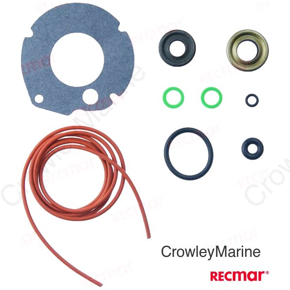 RETAINERS AND GASKETS SET (REC87617)