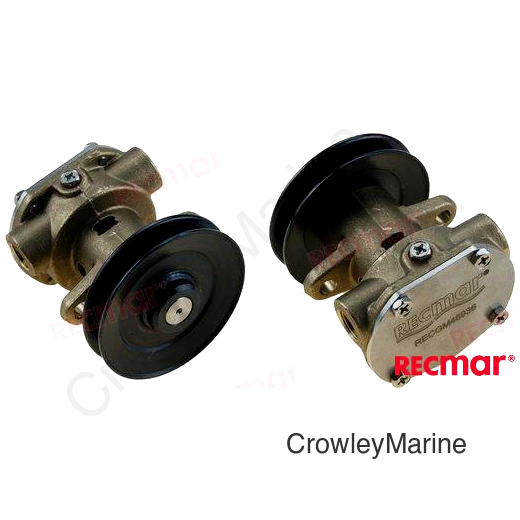 WATER PUMP WITH PULLEY (RECGM46936)