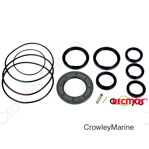 SEAL KIT UNIT LOWER UNIT DPH-D (REC23027)