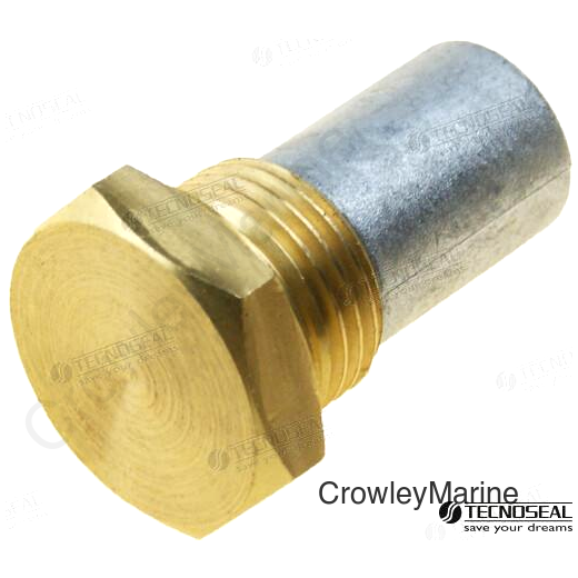 ANODE 15*20 M8*L9 W/CAP (TEN01320T)