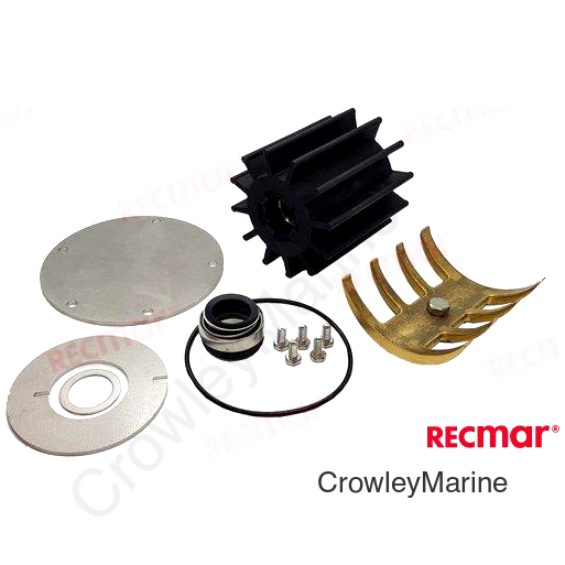 WATER PUMP KIT FOR 3838207 (REC207MINORKIT)