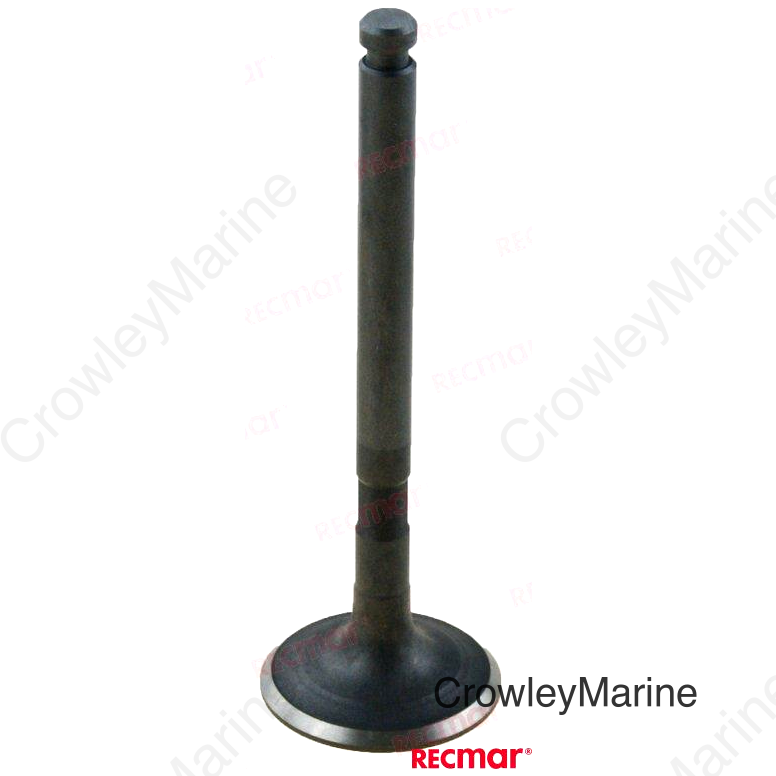 EXHAUST VALVE (REC119593-11110)