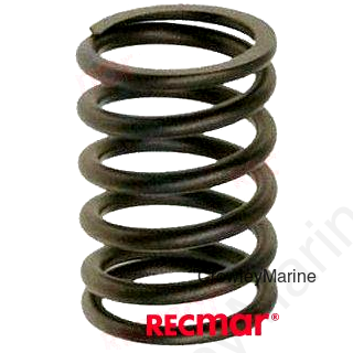 VALVE SPRING (REC463739)