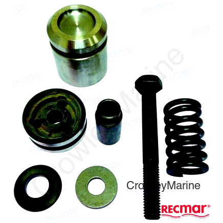 POWER TRIM CYL OVERHAUL KIT (REC87399A2)