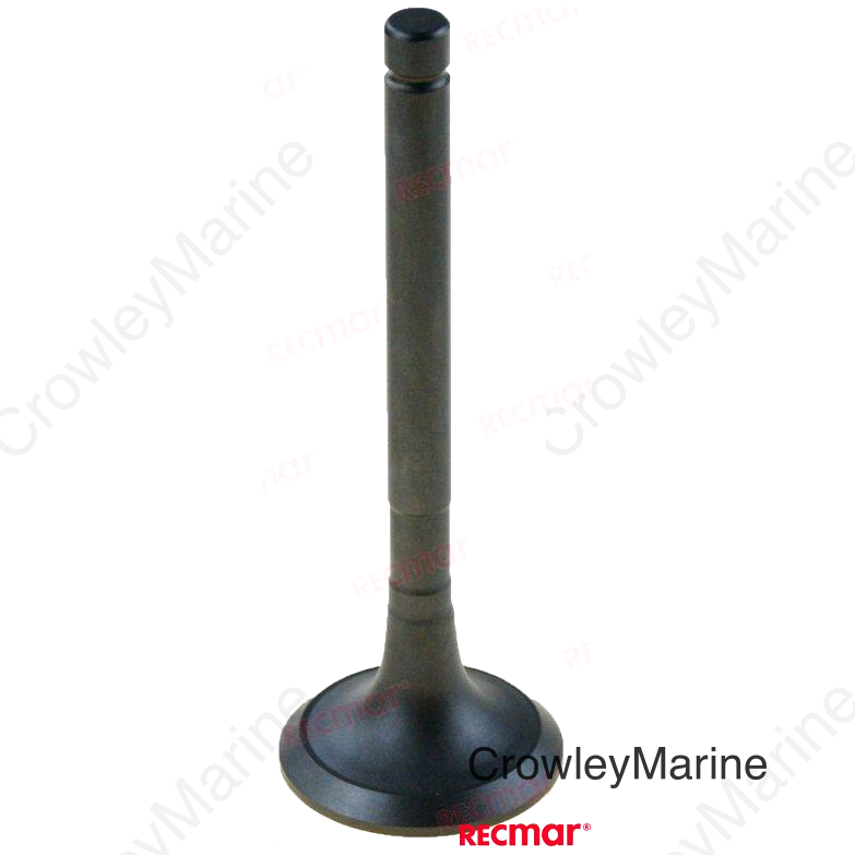 EXHAUST VALVE (REC119770-00490)