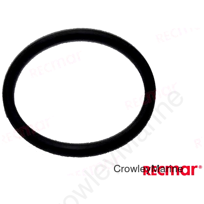 O-RING (REC321921)