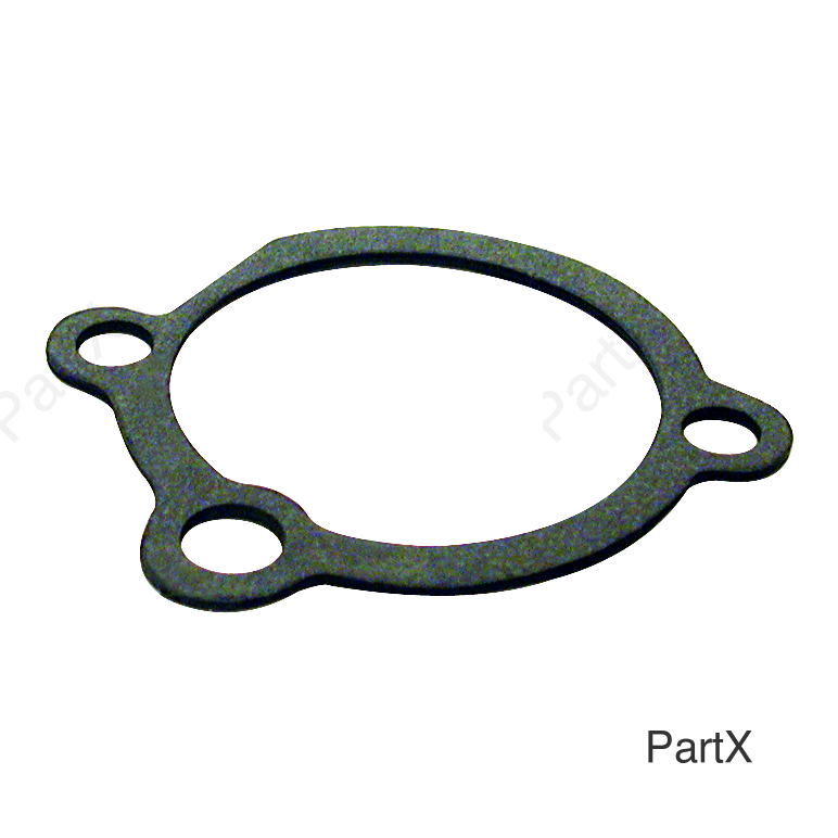 Gasket (37420)