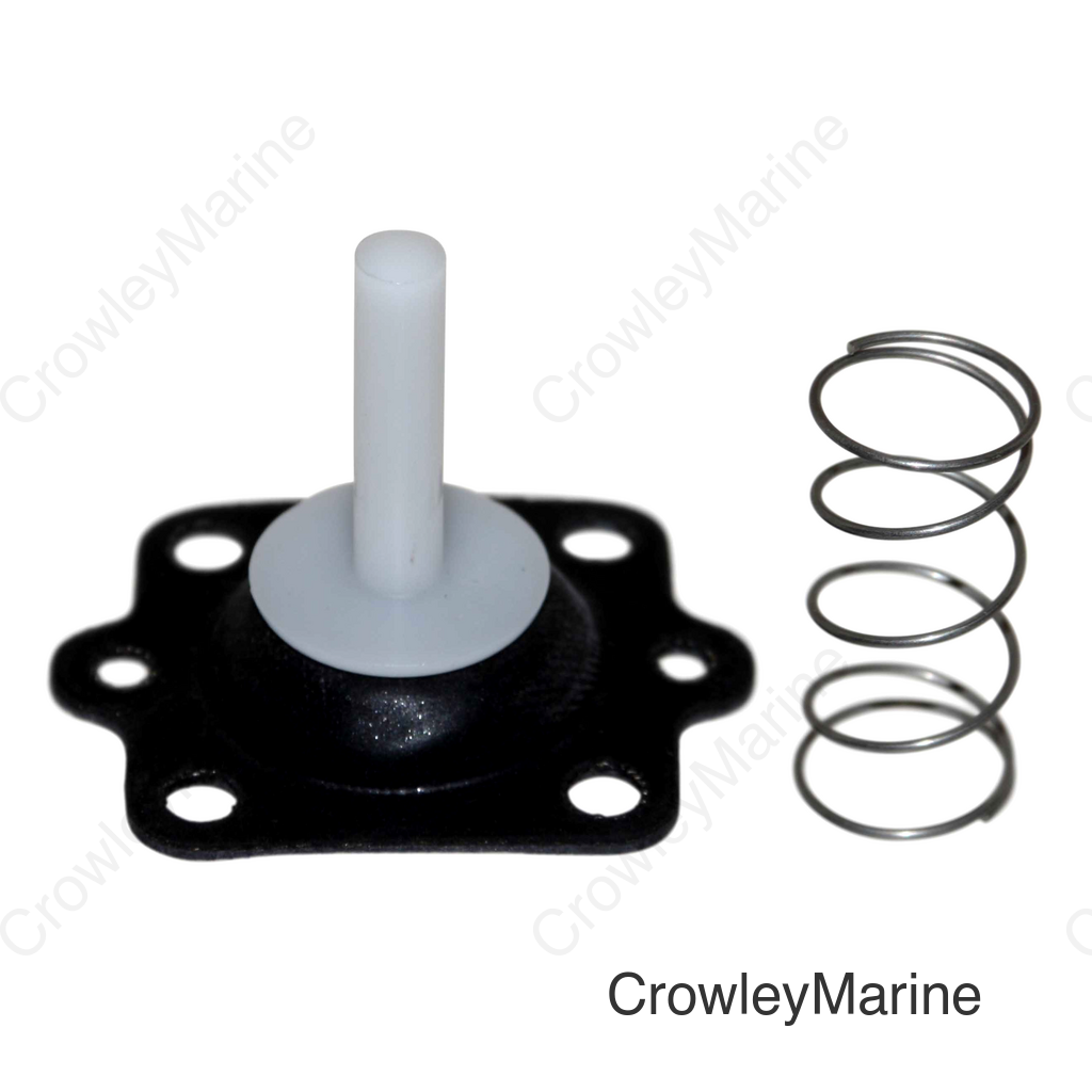 Repair Kit, Accelerator Pump 