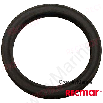 OIL SEAL (REC909139)